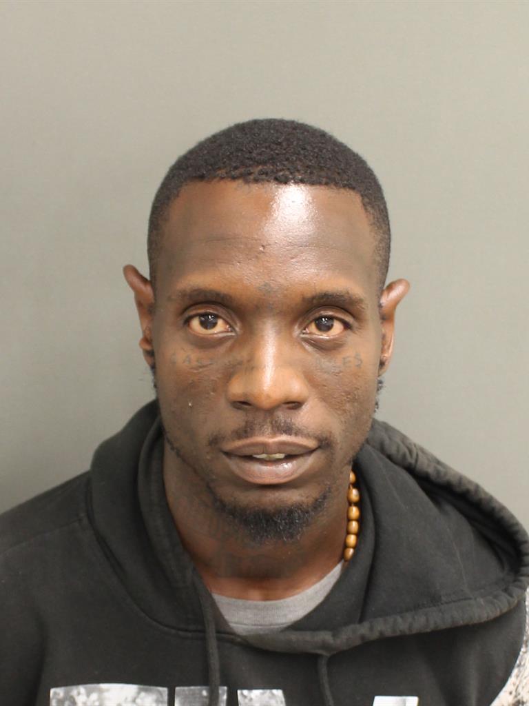  MICHAEL A LEWIS Mugshot / County Arrests / Orange County Arrests