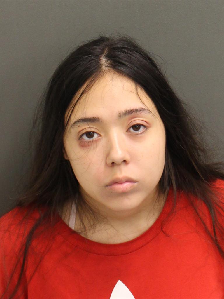  ISABELL M SCHWENGLE Mugshot / County Arrests / Orange County Arrests