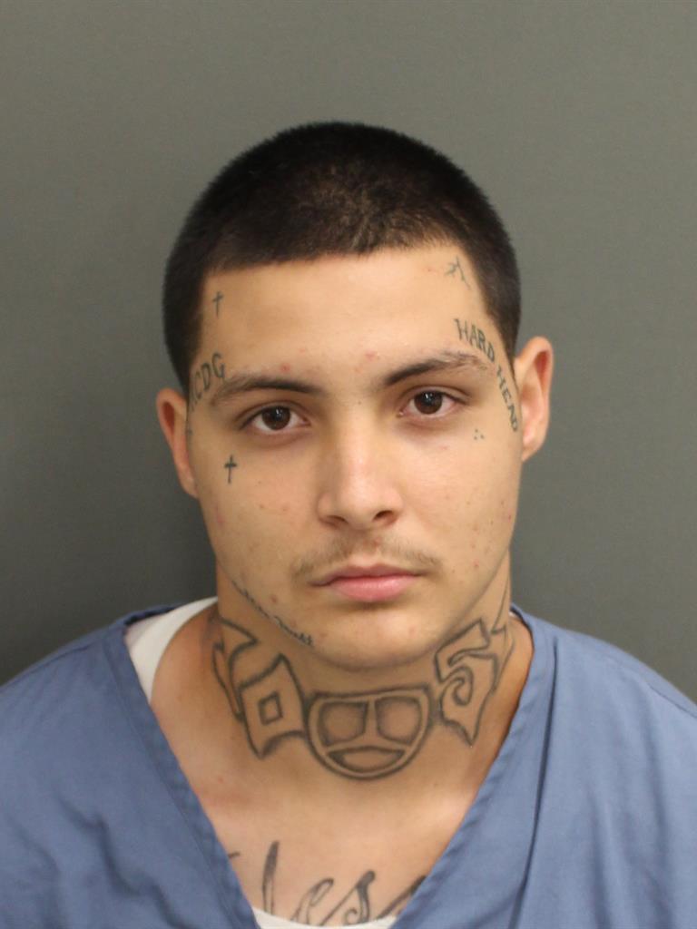  SEBASTIAN TOMAS GOMEZ Photo Image