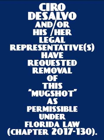  CIRO DESALVO Mugshot / County Arrests / Orange County Arrests