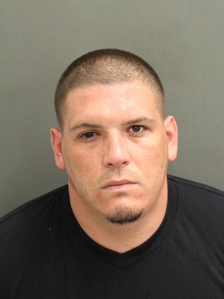  VINCENZO SICILIANO Mugshot / County Arrests / Orange County Arrests