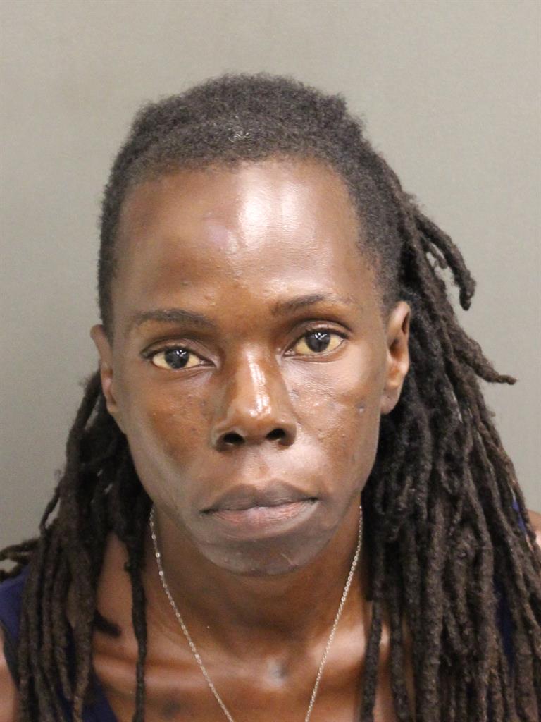  MARY YVES LUCATE Mugshot / County Arrests / Orange County Arrests