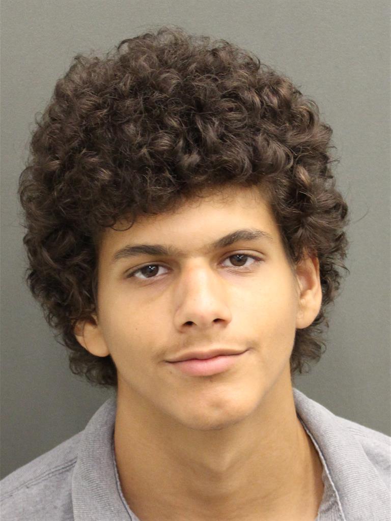  ORION FRANCHESCHINI Mugshot / County Arrests / Orange County Arrests