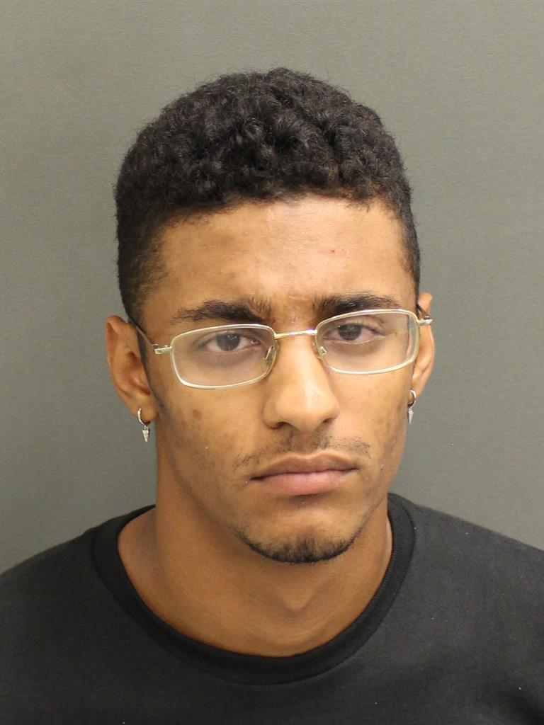  MIRKO LESEA BONINO Mugshot / County Arrests / Orange County Arrests