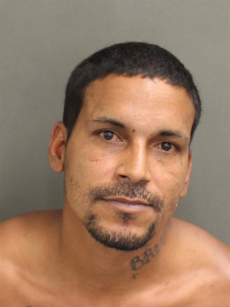 LUIS ORTIZSANTOS Mugshot / County Arrests / Orange County Arrests