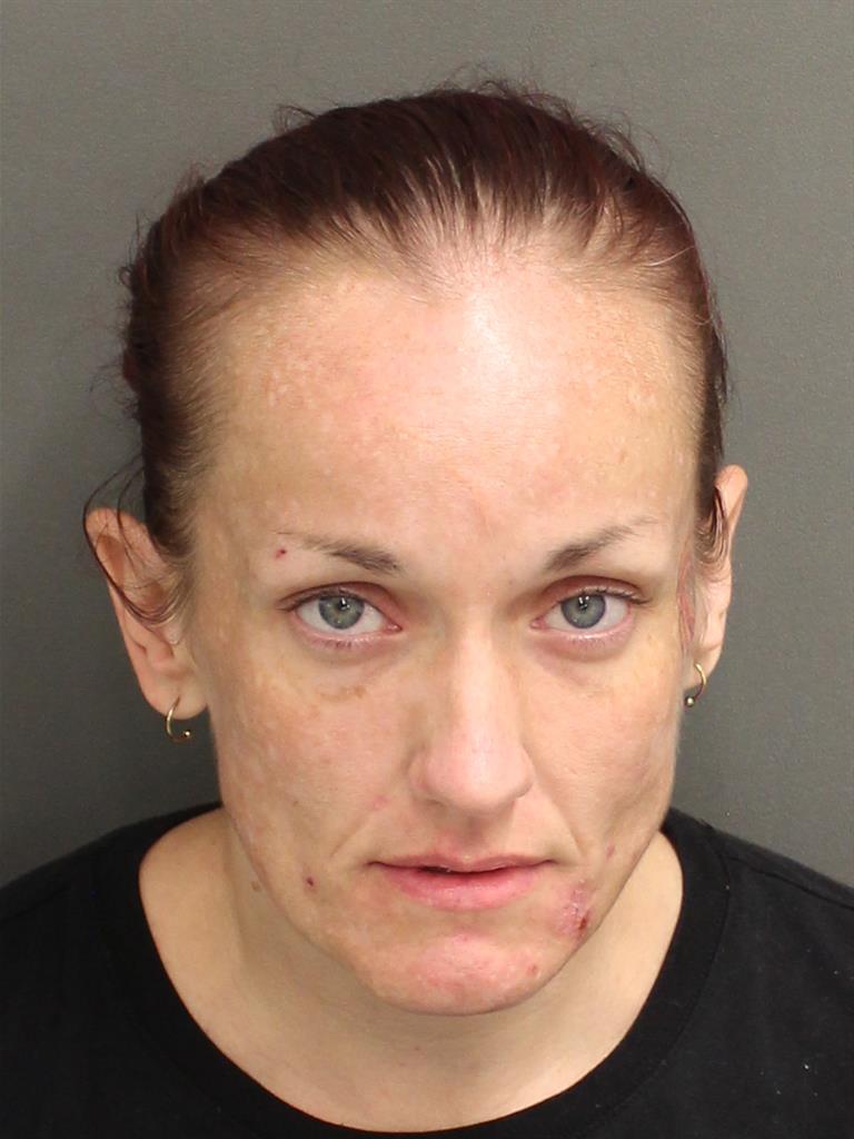  AMY LYNN LONG Mugshot / County Arrests / Orange County Arrests