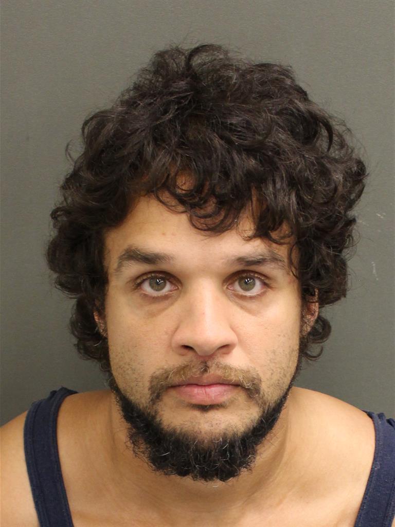  HECTOR ORTIZ Mugshot / County Arrests / Orange County Arrests