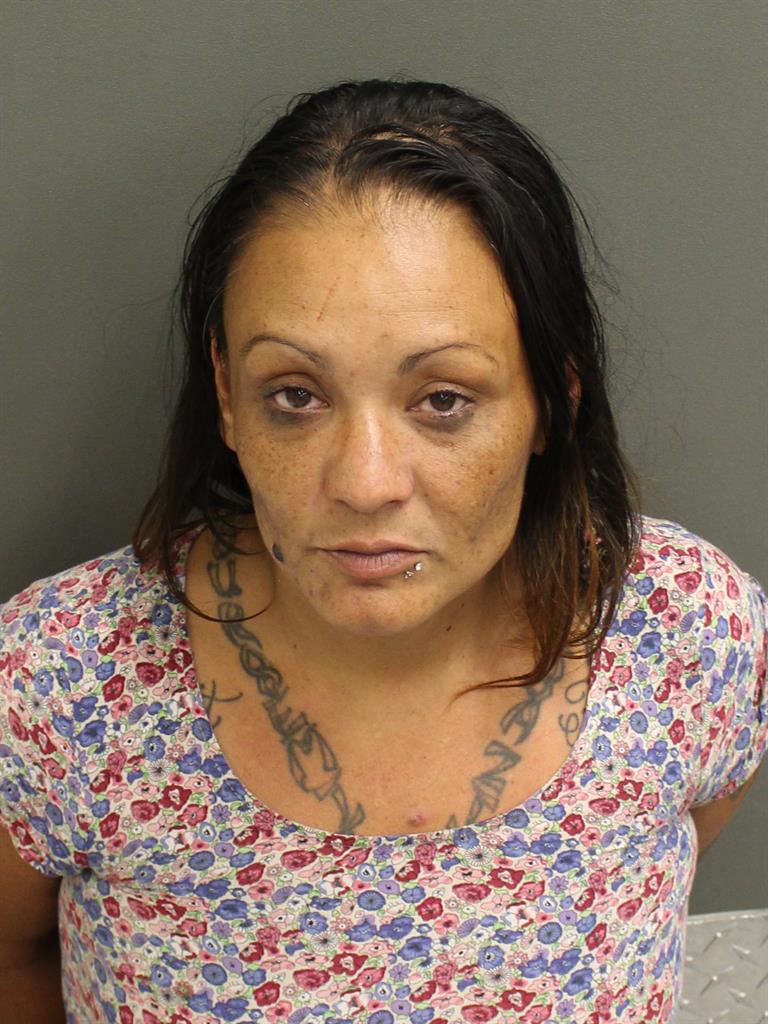  EMILY C SUBERS Mugshot / County Arrests / Orange County Arrests