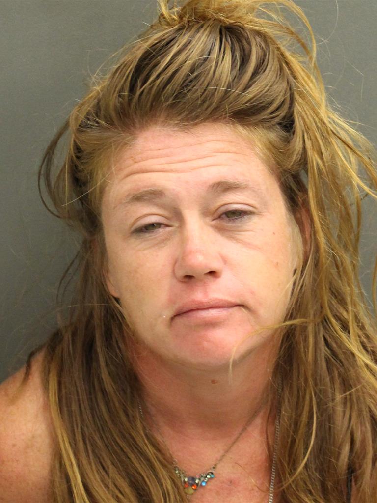  SUSAN MARIE LOCKE Mugshot / County Arrests / Orange County Arrests