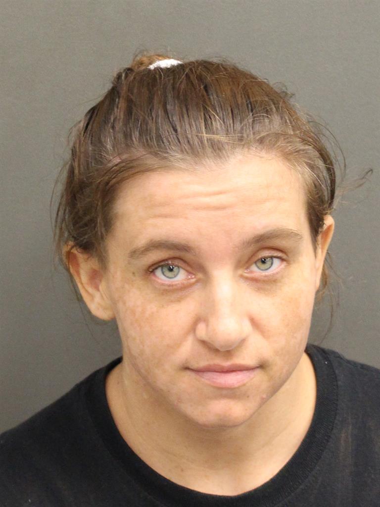  CRISTIN MARIE HALLSTEIN Mugshot / County Arrests / Orange County Arrests