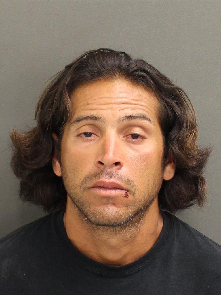  RICARDO  JR PAGAN Mugshot / County Arrests / Orange County Arrests