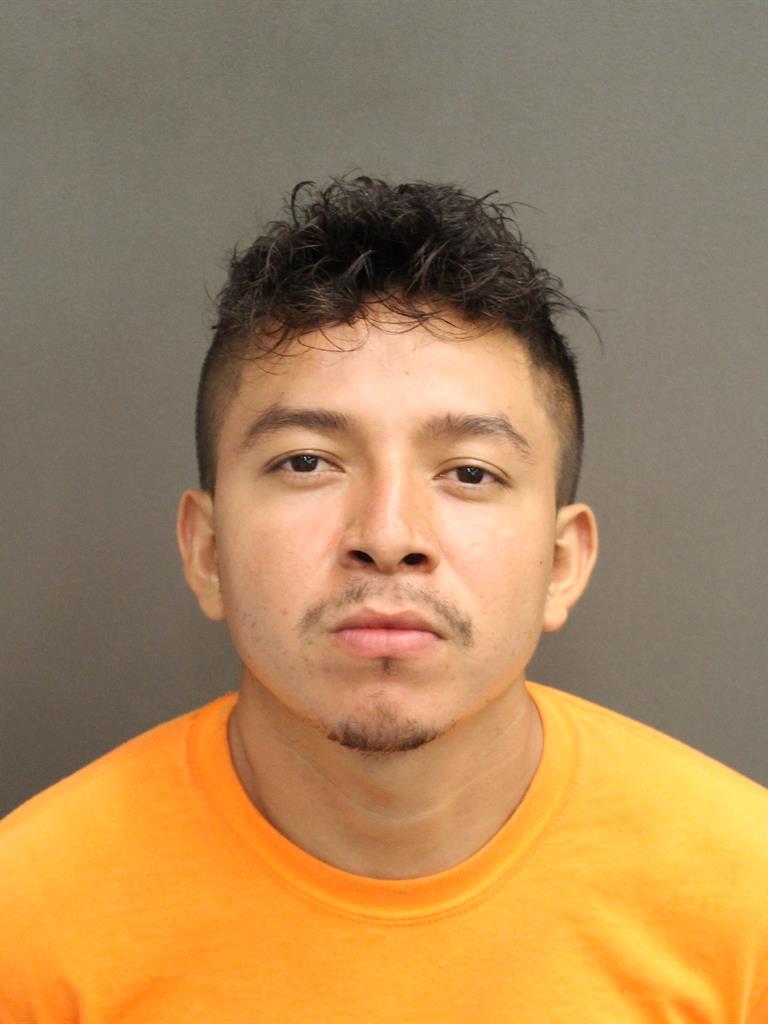  GABRIEL SERIN CASTILLO Mugshot / County Arrests / Orange County Arrests