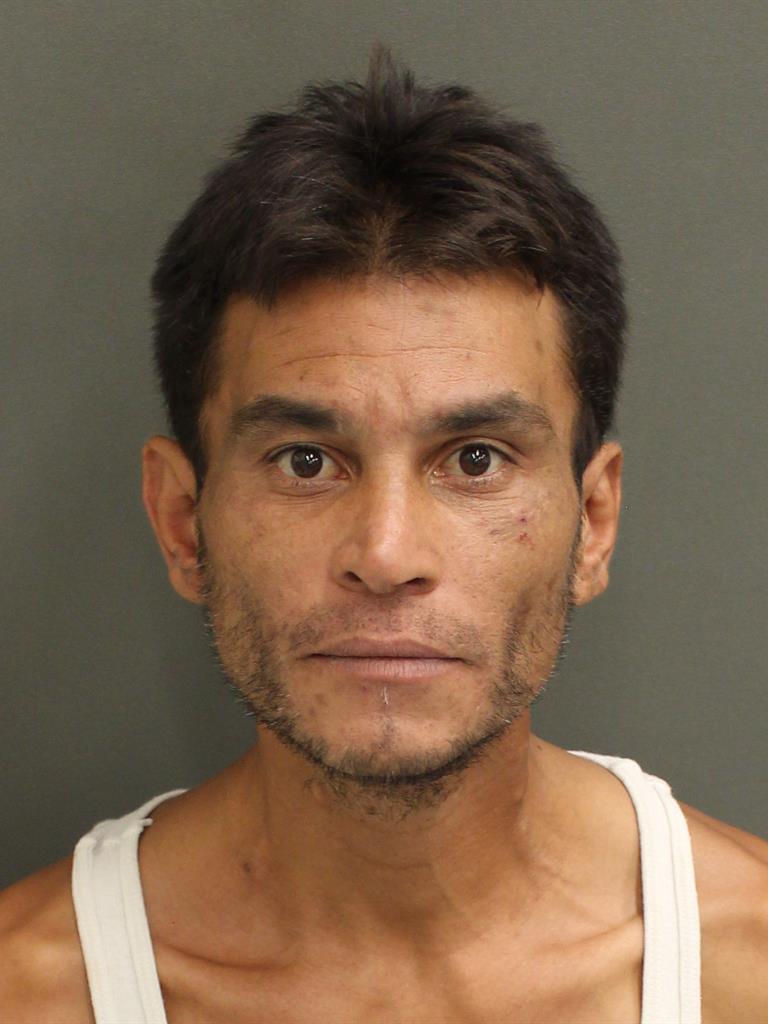  IRVING CARABALLO Mugshot / County Arrests / Orange County Arrests