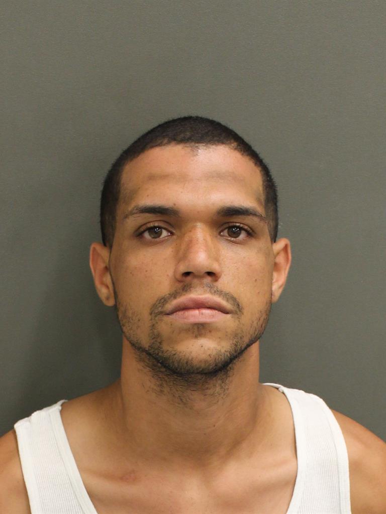 LUIS ANTONIO LOZADA Mugshot LUIS ANTONIO LOZADA Mugshot / County Arrests / Orange County Arrests