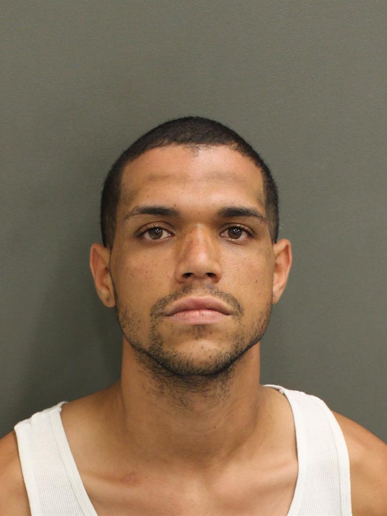  LUIS ANTONIO LOZADA Mugshot / County Arrests / Orange County Arrests