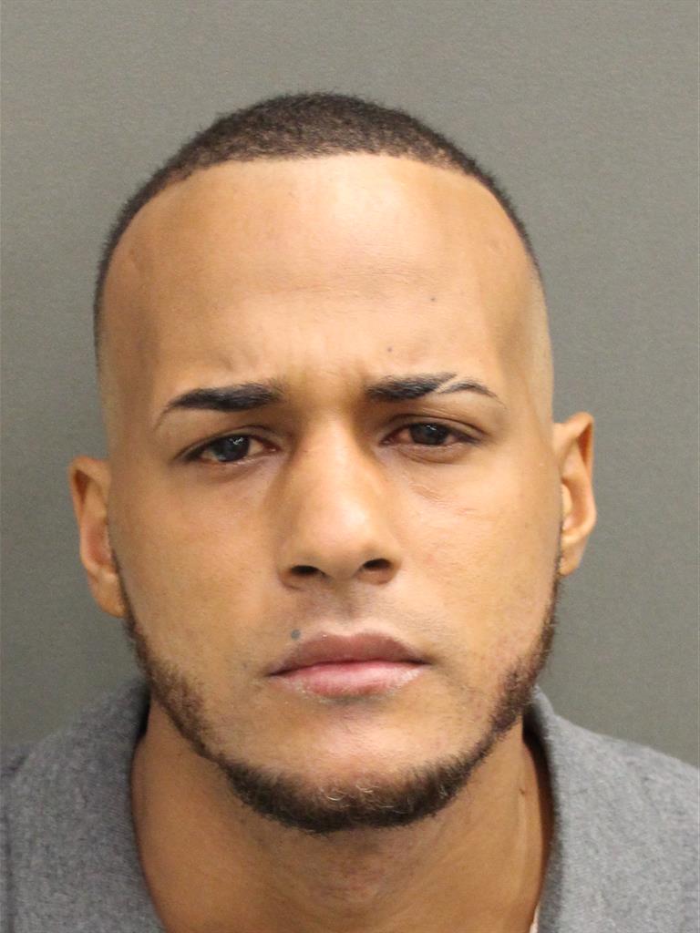  EDWIN MARTIN DELAROSAPOLANCO Mugshot / County Arrests / Orange County Arrests