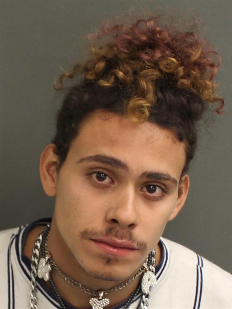  KOBIE RIVER DELVALLENEGRON Mugshot / County Arrests / Orange County Arrests