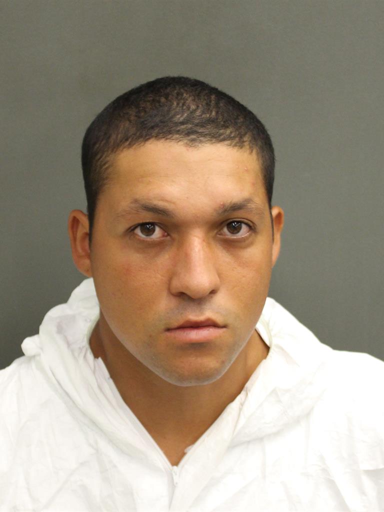  JOSE LUIS CHAVEZ Mugshot / County Arrests / Orange County Arrests