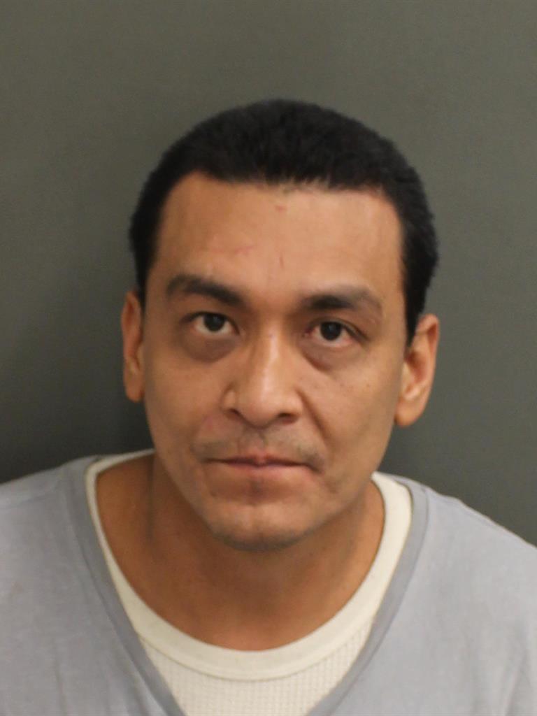  MARCO MIRANDAAVALOS Mugshot / County Arrests / Orange County Arrests