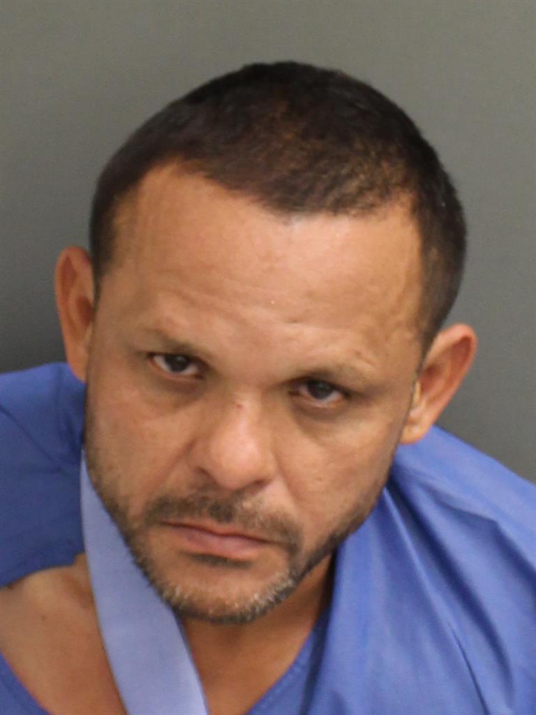  LUIS TORRESVEGA Mugshot / County Arrests / Orange County Arrests