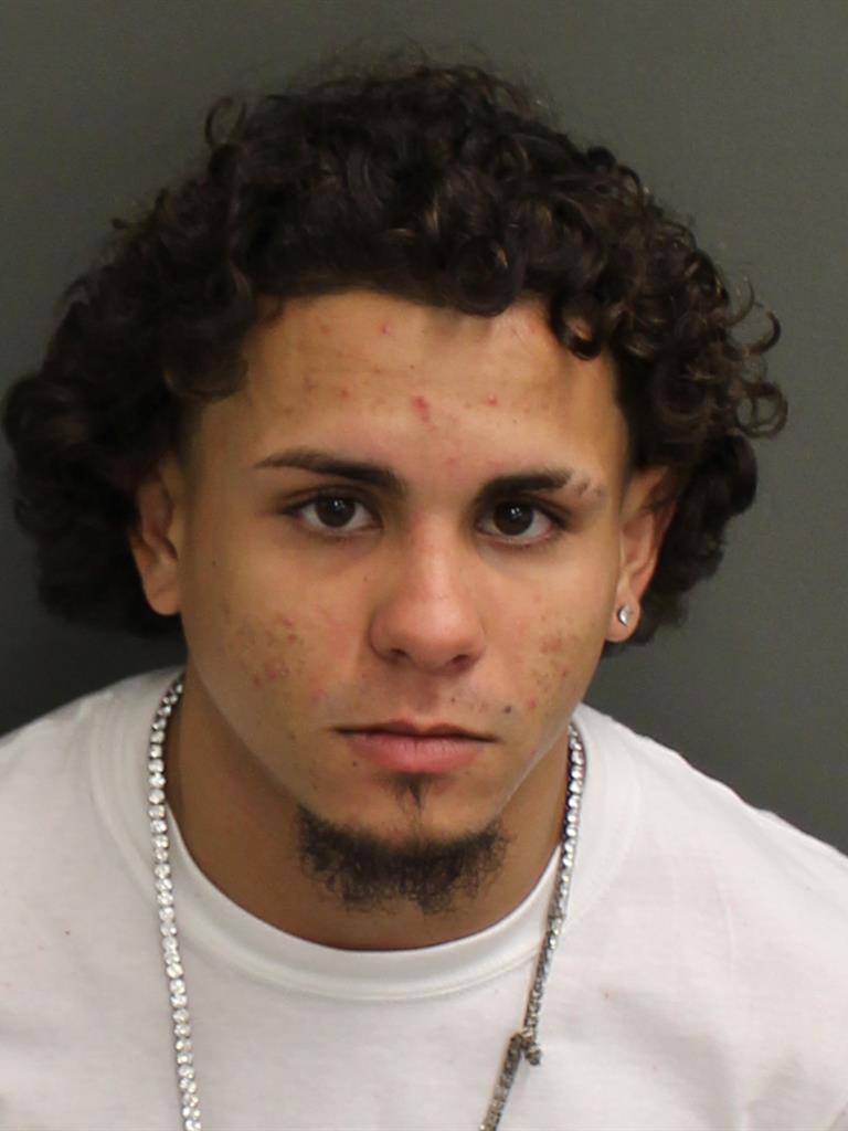  LUIS ENRIQUE TORRES Mugshot / County Arrests / Orange County Arrests