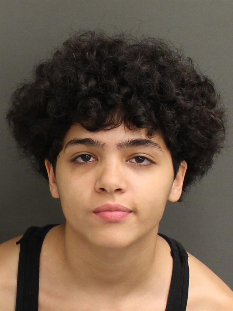  ALICE MORALES Mugshot / County Arrests / Orange County Arrests