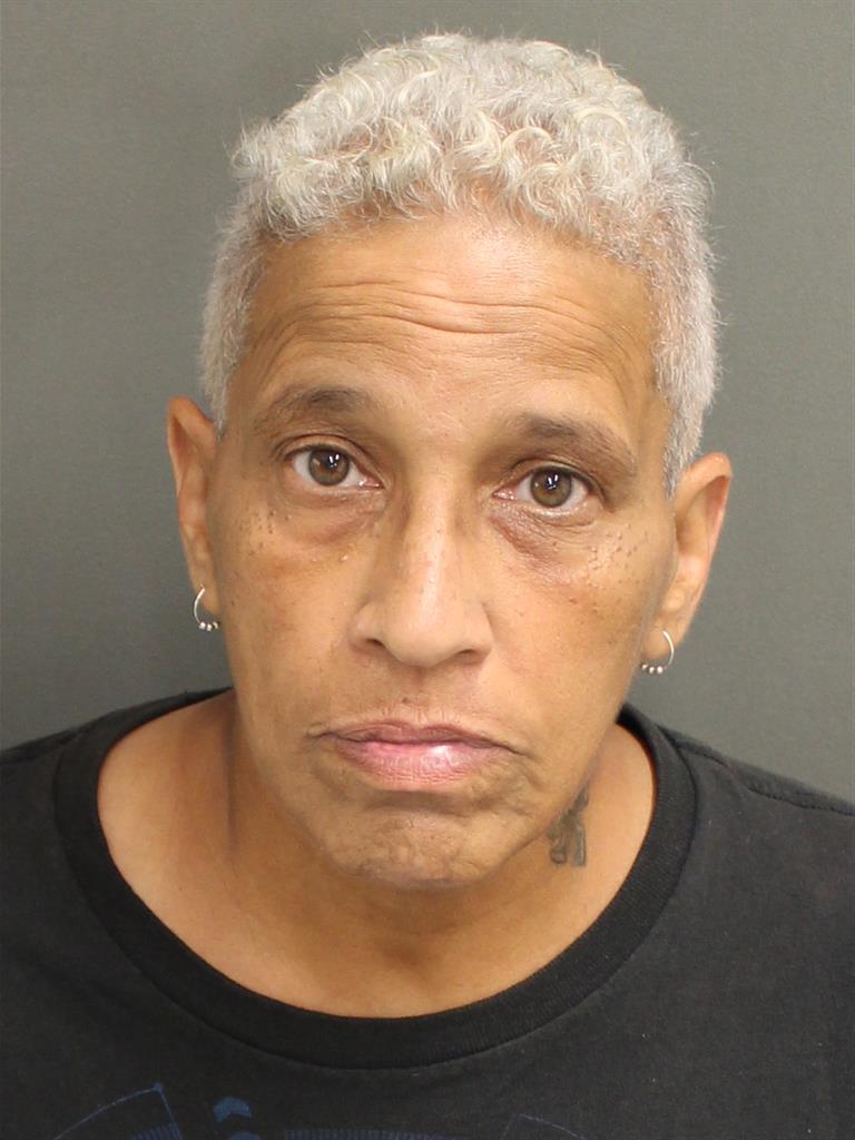  YVONNE ELBA SANJURJO Mugshot / County Arrests / Orange County Arrests