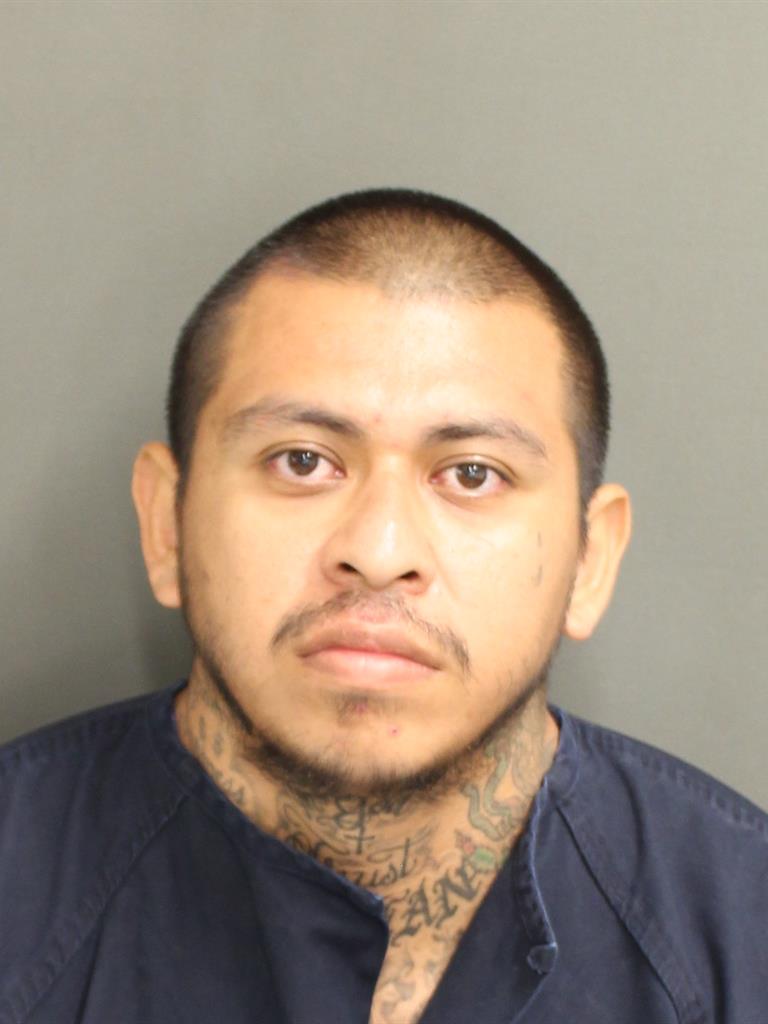  ANGEL BELLOFLORES Photo Image