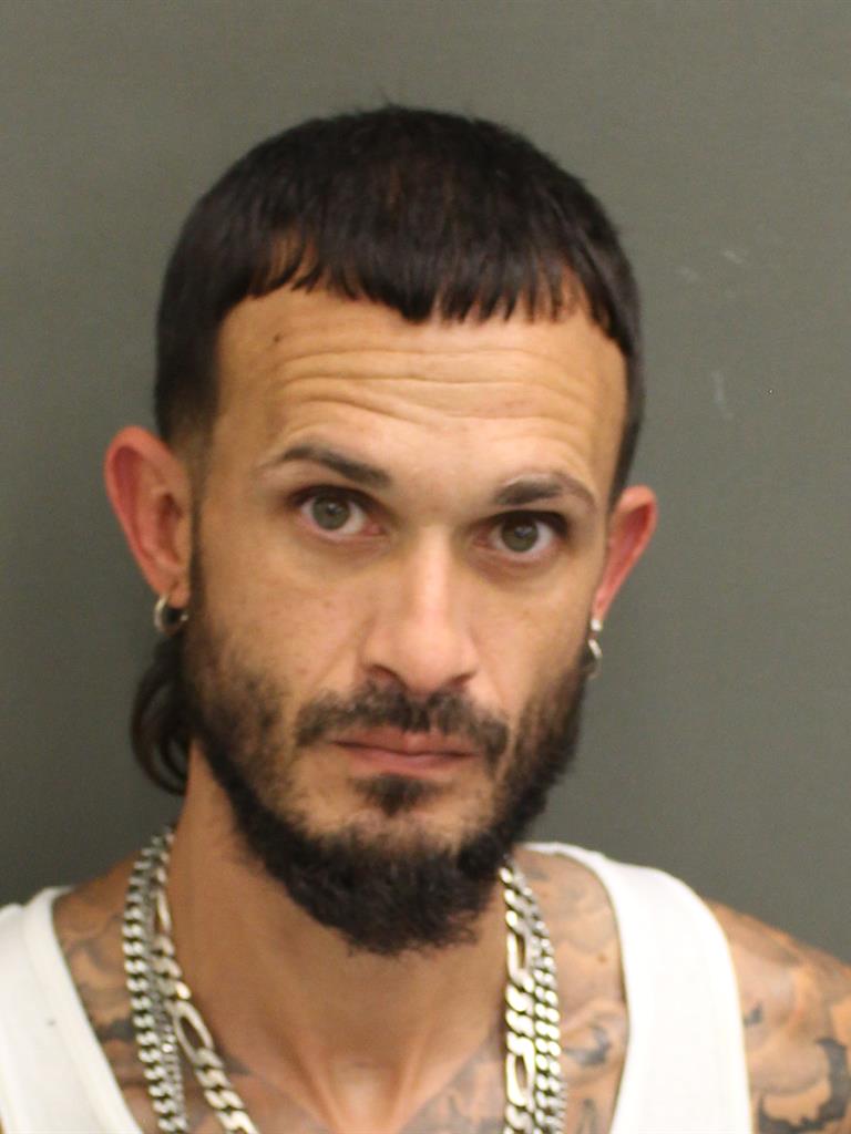  HECTOR LUIS FERNANDEZ Mugshot / County Arrests / Orange County Arrests