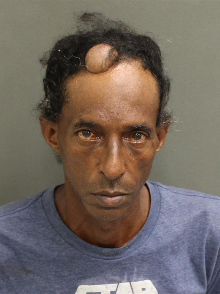 SIUDIAL RAMCHARAN Mugshot SIUDIAL RAMCHARAN Mugshot / County Arrests / Orange County Arrests