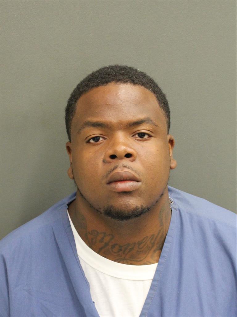  REGINALD E JOHNSON Mugshot / County Arrests / Orange County Arrests