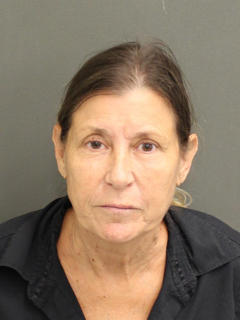 LISA P FLANAGAN Mugshot / County Arrests / Orange County Arrests