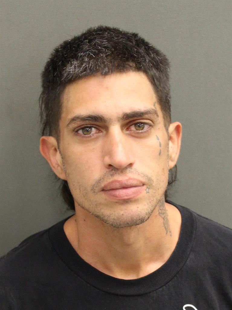  ROBERT RAMOSBRUNO Mugshot / County Arrests / Orange County Arrests