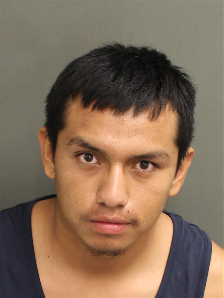  VICENTE NAVARROESTALA Photo Image