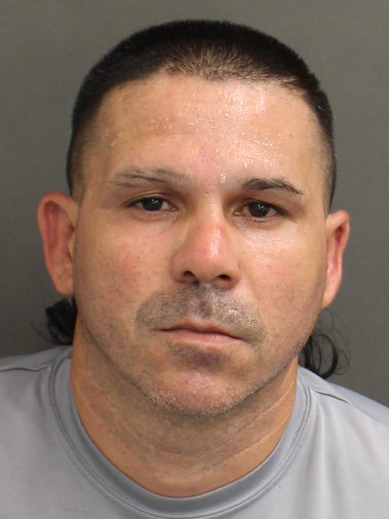  RAMFIS ARMANDO ROMANESPIET Mugshot / County Arrests / Orange County Arrests