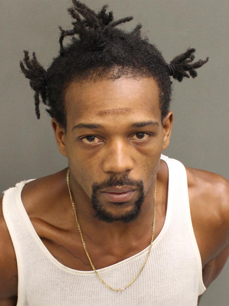  CHANCEY GEENARVIS REDDING Mugshot / County Arrests / Orange County Arrests