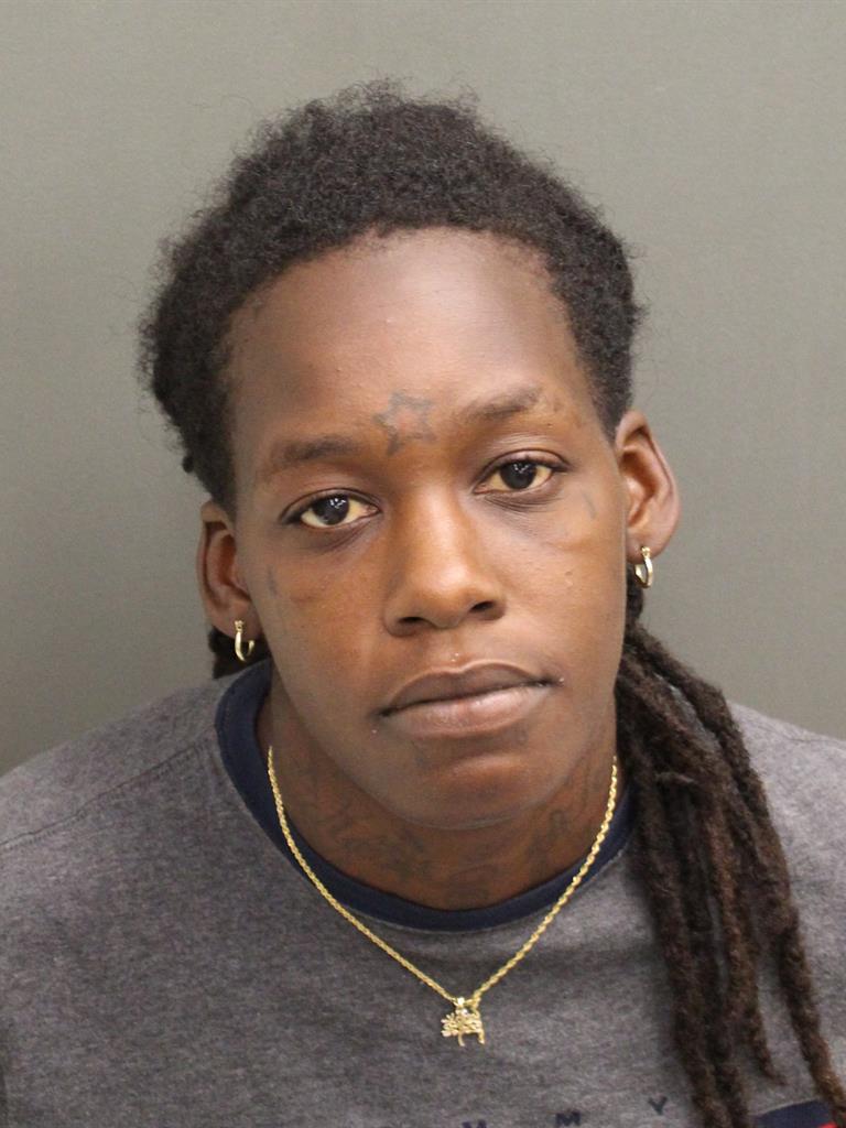  TERIKA BREBEA HAMILTON Mugshot / County Arrests / Orange County Arrests