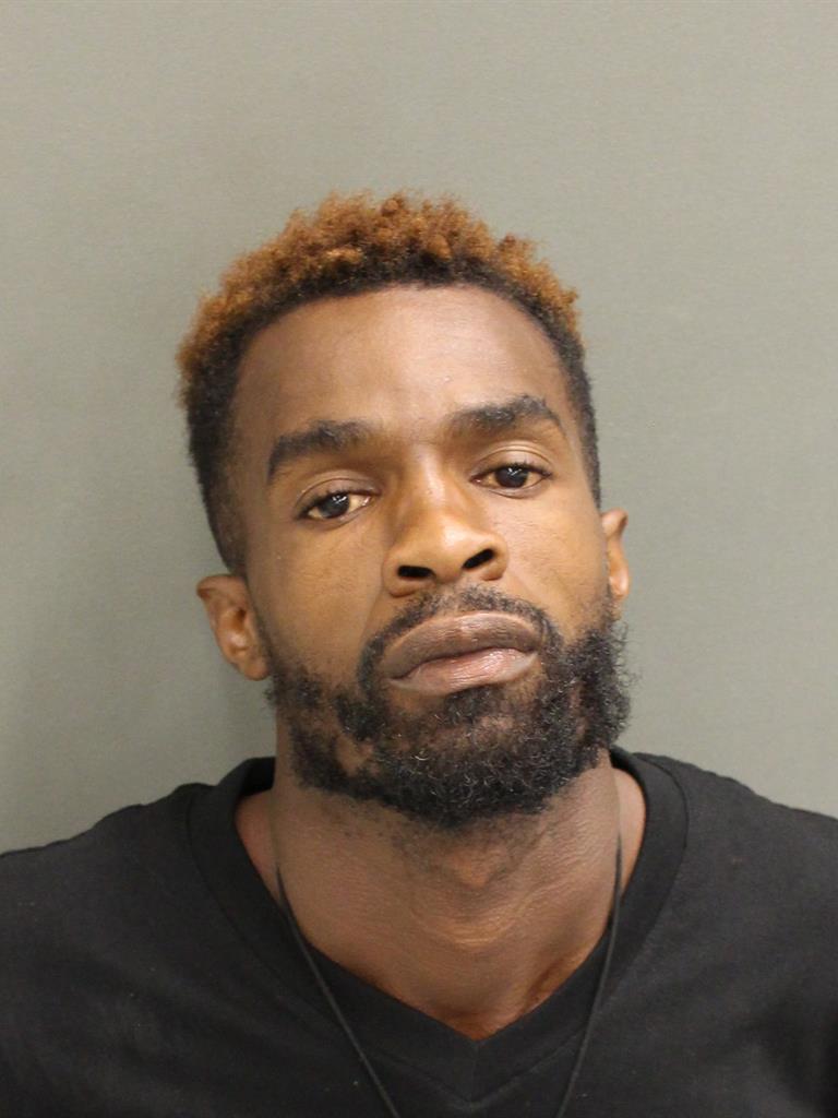  LOUIS LEE JAMES Mugshot / County Arrests / Orange County Arrests