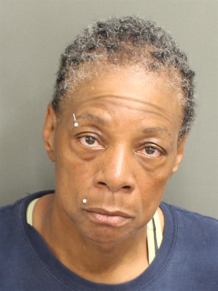  CYNTHIA DENISE LOWERY Mugshot / County Arrests / Orange County Arrests