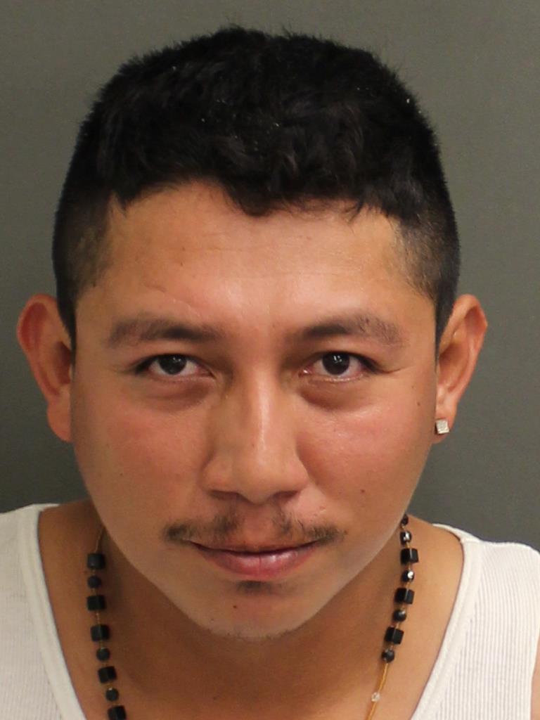  JOSE DELCARMEN VASQUEZSOSA Mugshot / County Arrests / Orange County Arrests