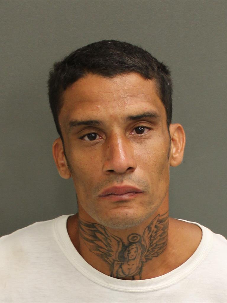  JOSE LUIS JR VARGAS Mugshot / County Arrests / Orange County Arrests