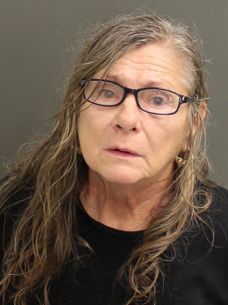  VESNA MINAJLOIC GREENBERG Mugshot / County Arrests / Orange County Arrests