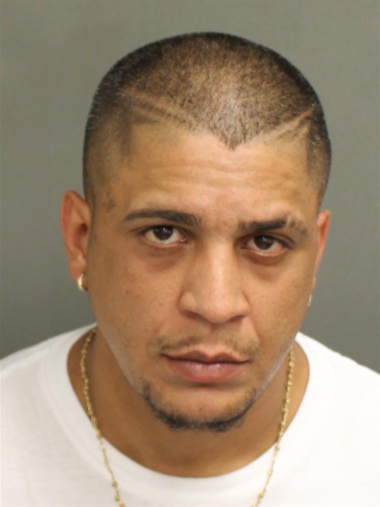  RAYMOND CESAR SALCEDO Mugshot / County Arrests / Orange County Arrests