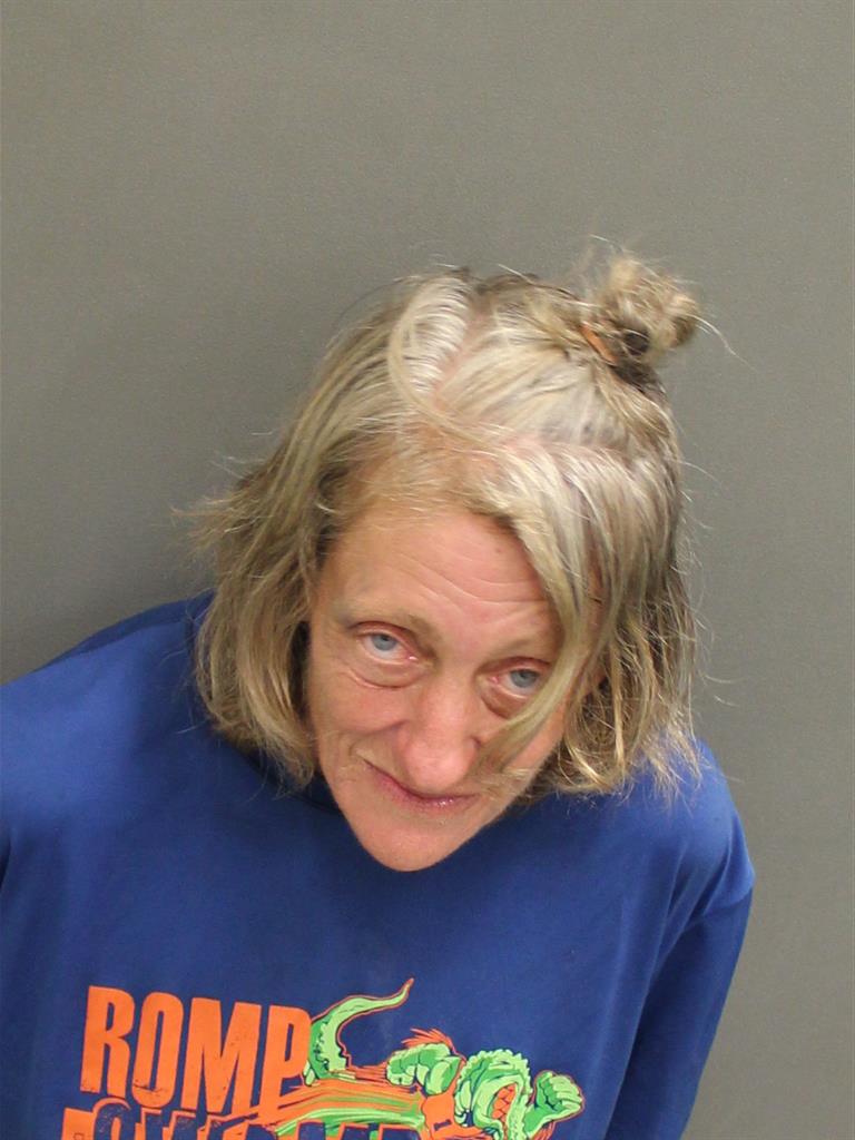  MARY PATRICIA JAMIESON Mugshot / County Arrests / Orange County Arrests