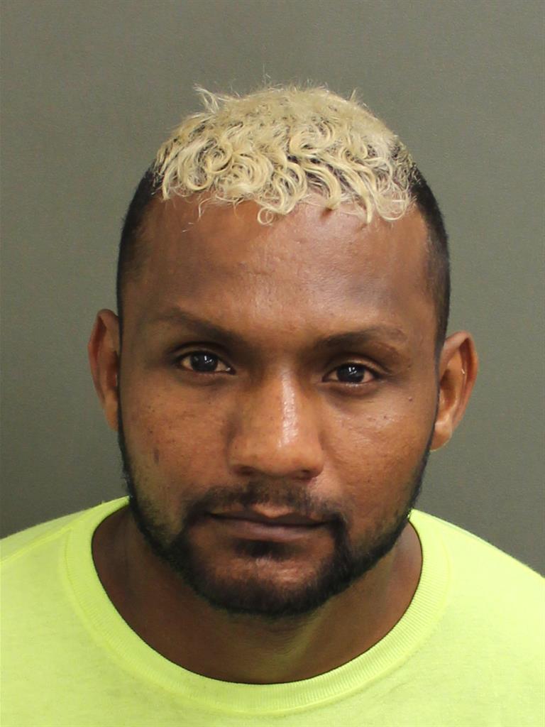  HAYDER IBADI TARESH ALSAEDI Mugshot / County Arrests / Orange County Arrests