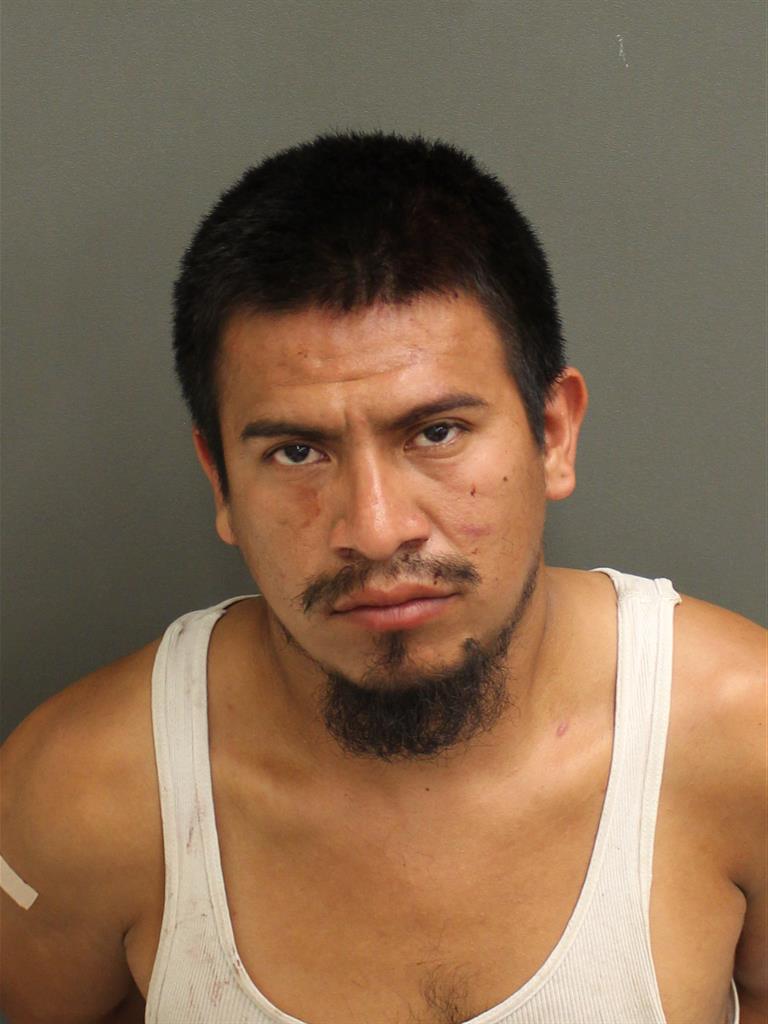  ORLIN MIGUEL RAMOSNAVARRO Mugshot / County Arrests / Orange County Arrests