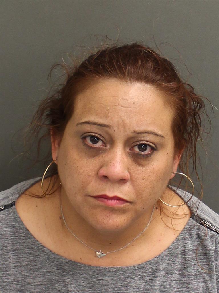  LISETTE MILAGROS LAGARES Mugshot / County Arrests / Orange County Arrests