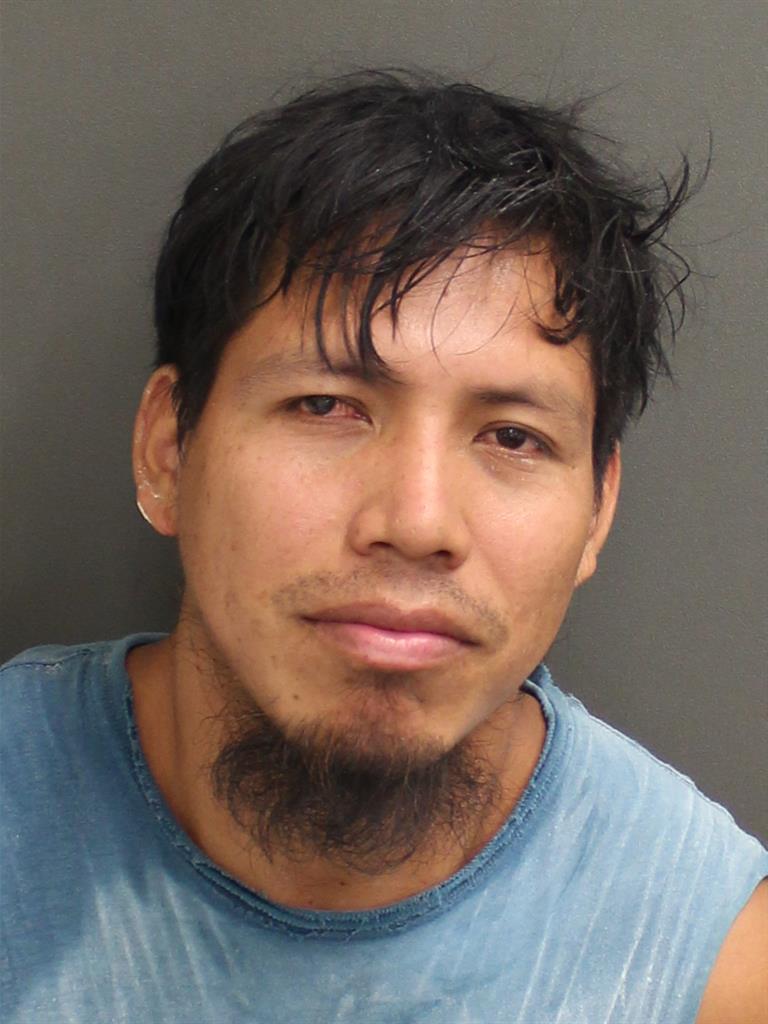  PEDRO DEPEDRO DIEGOLORENZO Mugshot / County Arrests / Orange County Arrests