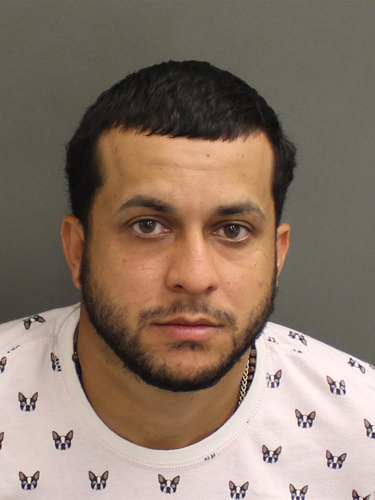  MILIAN MANUEL ANGEL Mugshot / County Arrests / Orange County Arrests