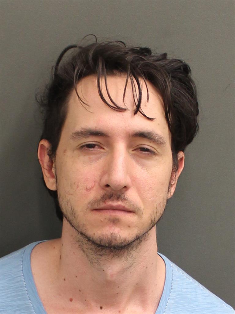  RYAN MICHAEL CAPP Mugshot / County Arrests / Orange County Arrests